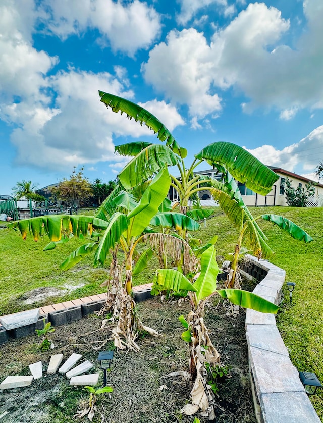 view of property's community featuring a yard