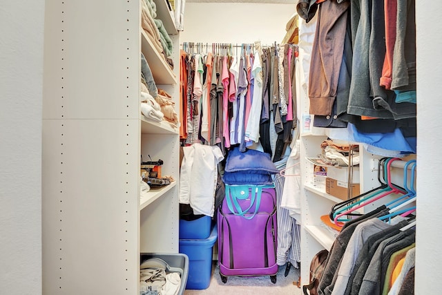 walk in closet featuring carpet flooring