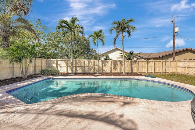 view of swimming pool with a fenced in pool, a patio area, and a fenced backyard