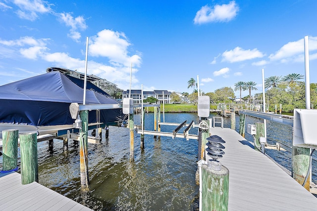 dock area with a water view