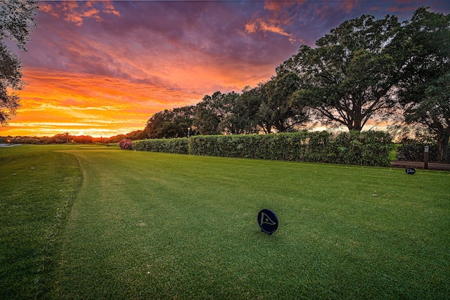 view of yard at dusk