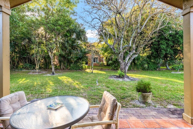 view of yard featuring a patio