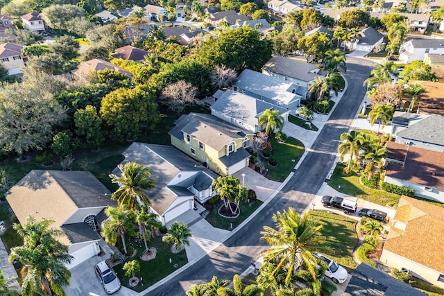 bird's eye view