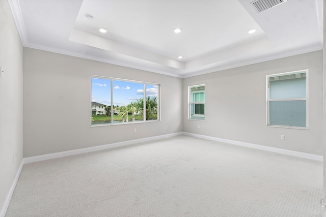 carpeted empty room featuring a tray ceiling and ornamental molding