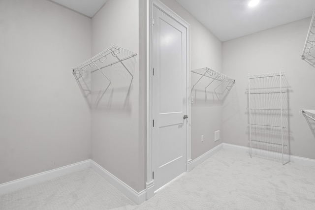 spacious closet featuring carpet