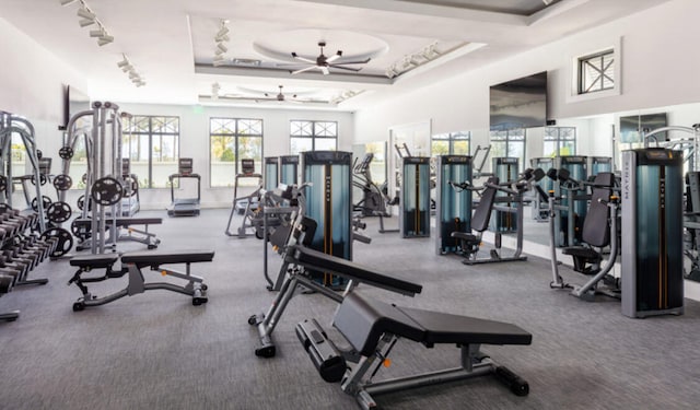 workout area featuring a tray ceiling, ceiling fan, and rail lighting