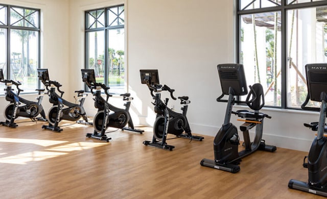 exercise room with a wealth of natural light, wood finished floors, and baseboards