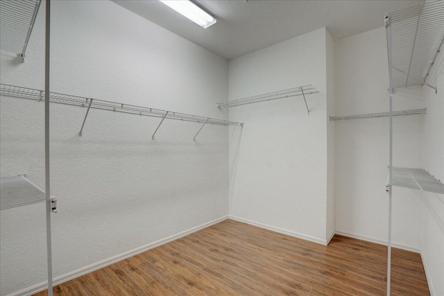 spacious closet featuring wood finished floors