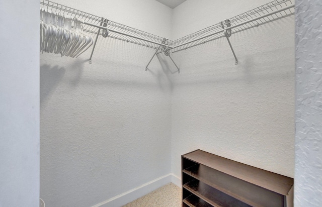 spacious closet featuring carpet flooring