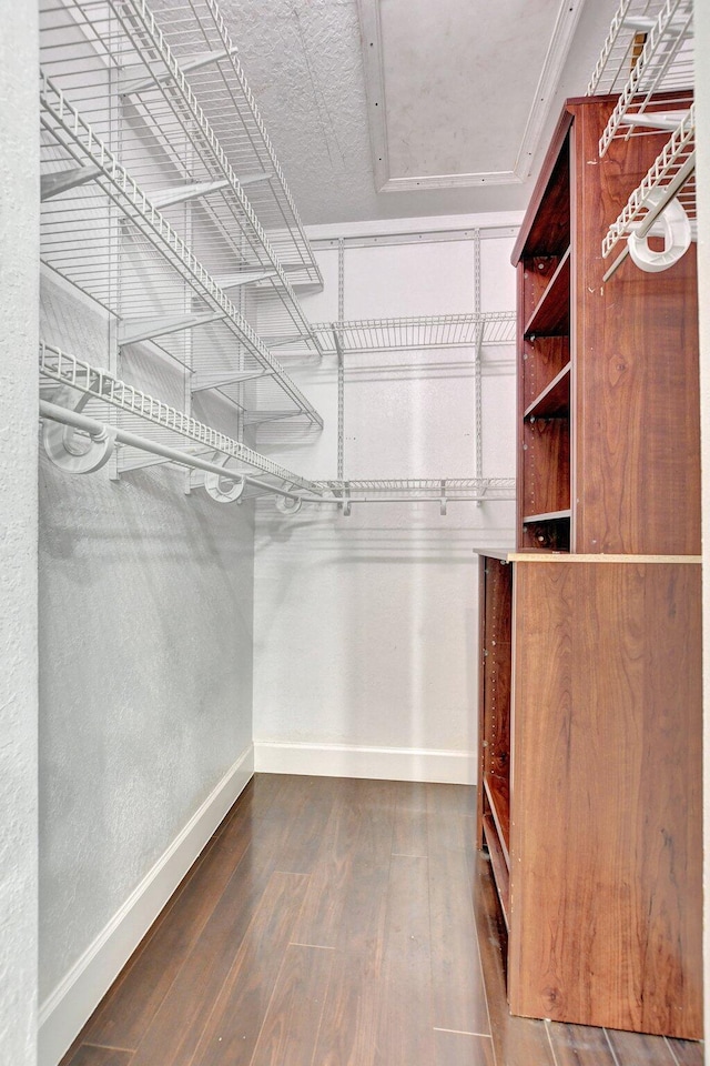 walk in closet featuring wood finished floors