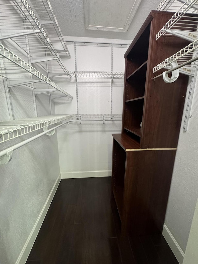 walk in closet featuring dark wood finished floors