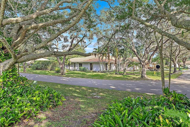 exterior space featuring aphalt driveway and a front yard