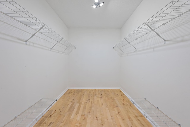 spacious closet featuring wood-type flooring