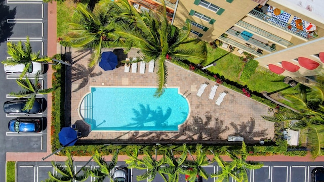 view of swimming pool