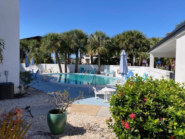 view of swimming pool with a patio area