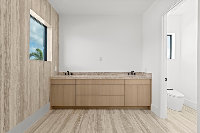 bathroom with vanity, wood-type flooring, and toilet