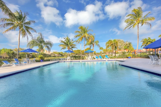 view of pool with a patio