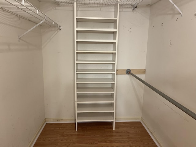 walk in closet with wood-type flooring