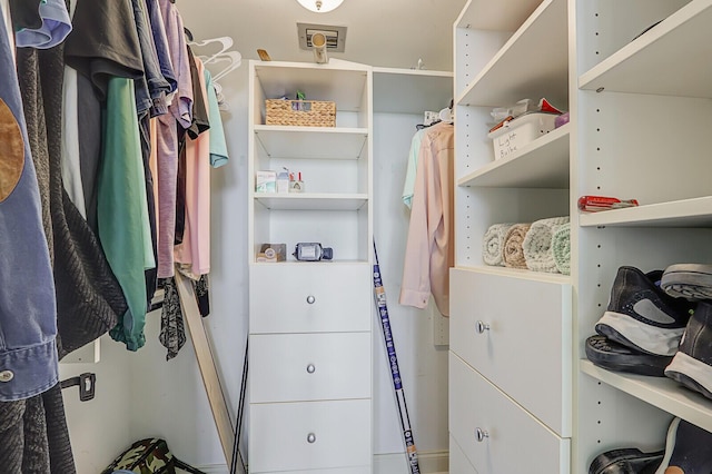 view of spacious closet