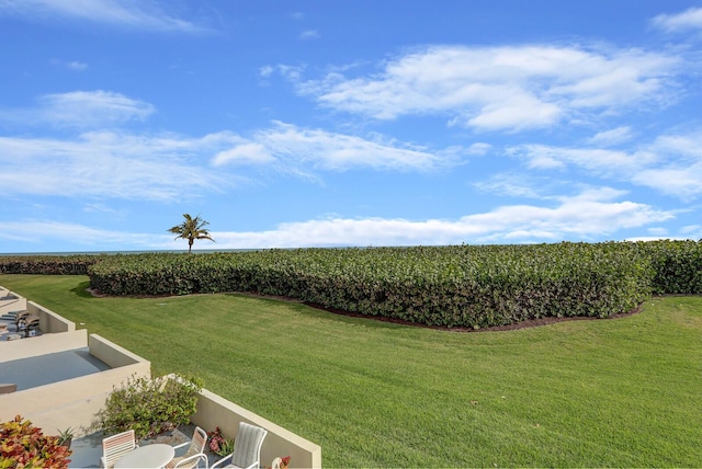 view of yard with a rural view