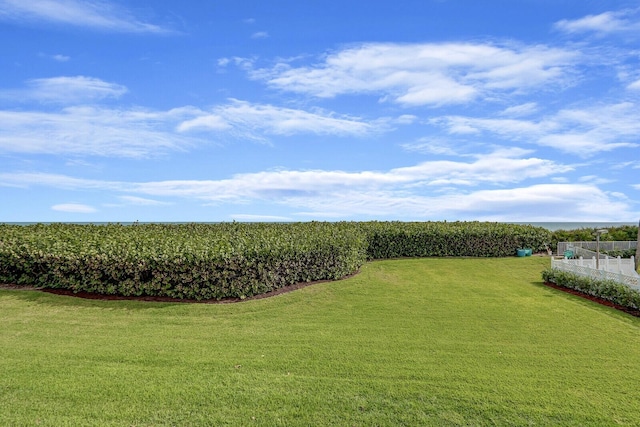 view of yard with a rural view