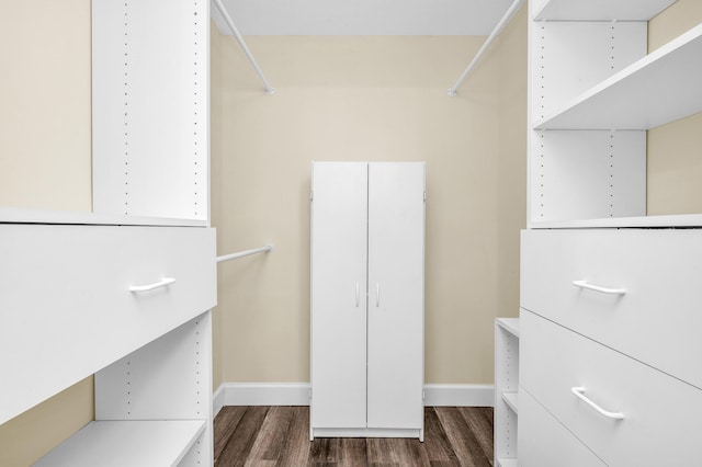 walk in closet with dark hardwood / wood-style flooring