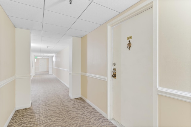 hallway featuring a paneled ceiling, baseboards, and carpet flooring