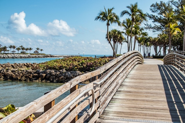 dock area with a water view