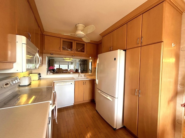 kitchen with sink, white appliances, ceiling fan, and light wood-type flooring