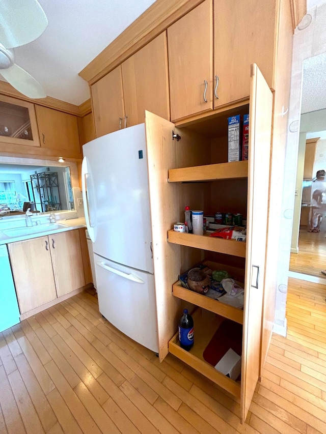 kitchen featuring sink, light hardwood / wood-style flooring, light brown cabinets, and white fridge