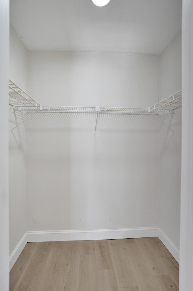 spacious closet with wood-type flooring