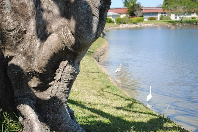 view of water feature