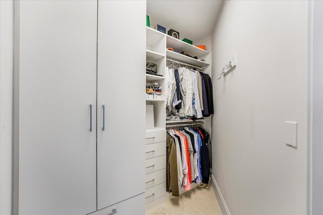 view of spacious closet