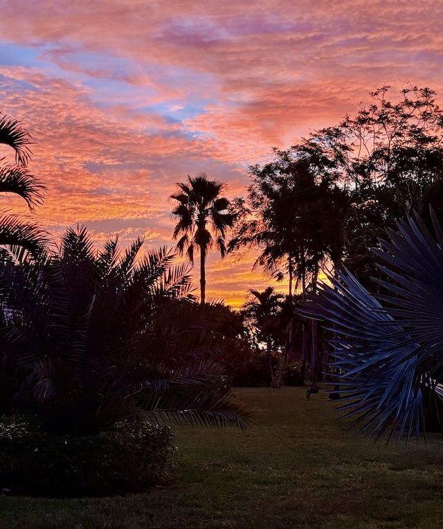 view of nature at dusk