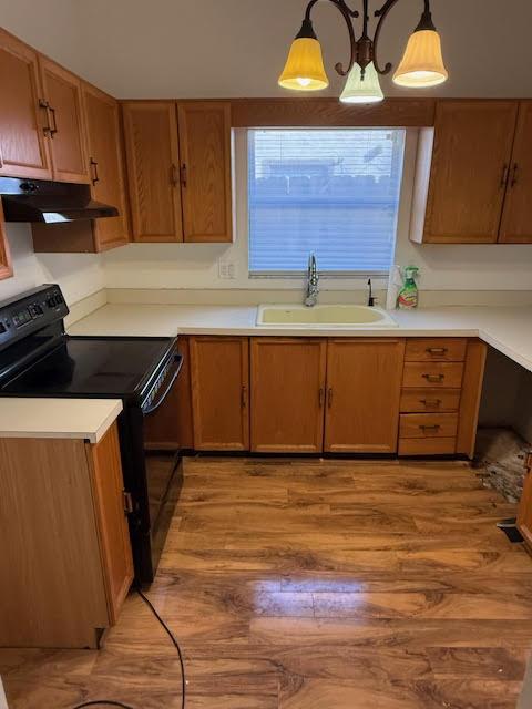 kitchen with sink, black / electric stove, hardwood / wood-style flooring, and decorative light fixtures