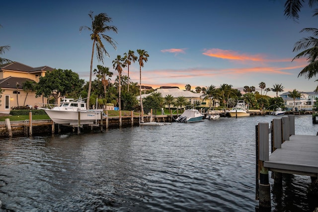 dock area with a water view