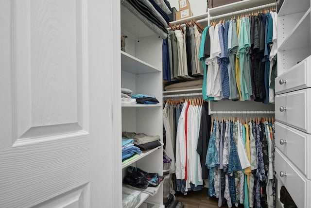 spacious closet featuring wood-type flooring