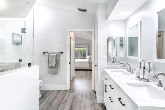 bathroom featuring wood-type flooring, toilet, and vanity