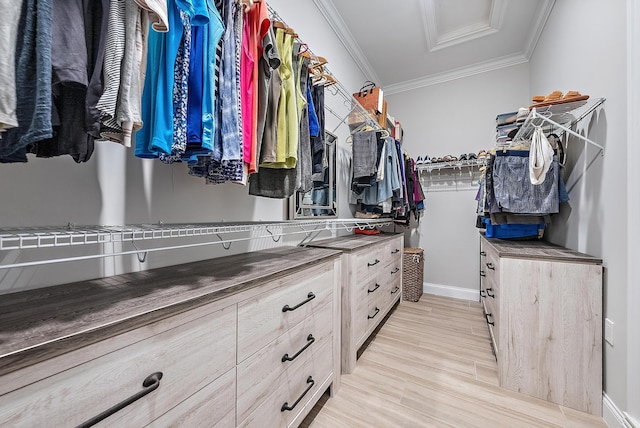 spacious closet with light wood-type flooring