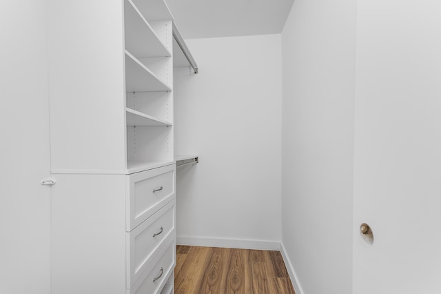 walk in closet featuring wood-type flooring