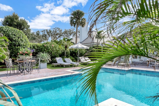 view of swimming pool featuring a patio area