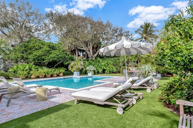 view of pool featuring a patio area and a lawn