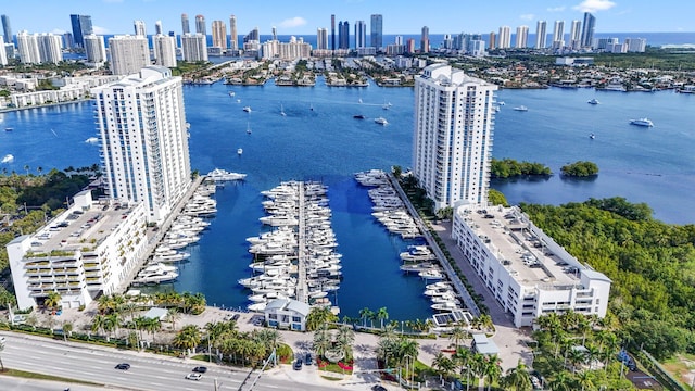 drone / aerial view featuring a city view and a water view