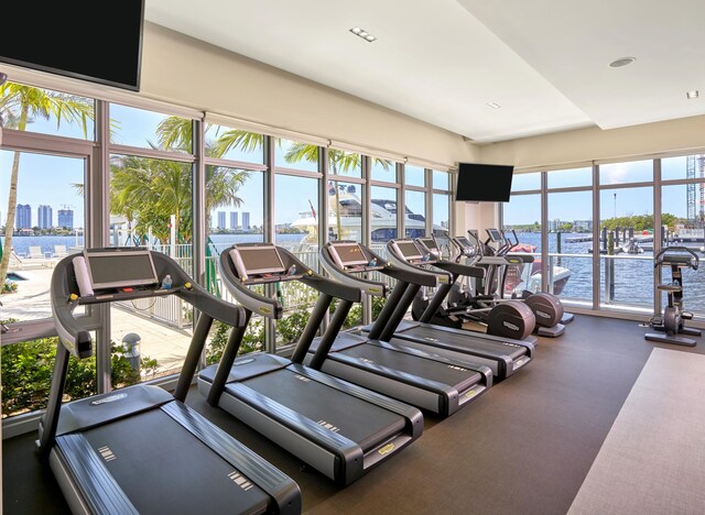 workout area with plenty of natural light