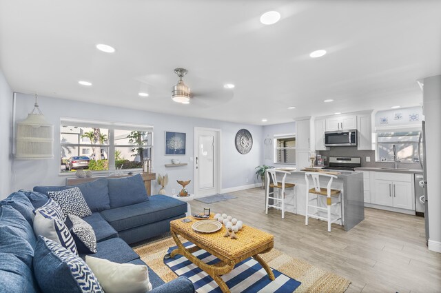 living room featuring light hardwood / wood-style flooring