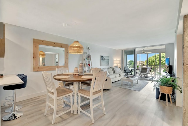 dining area with light hardwood / wood-style floors and expansive windows