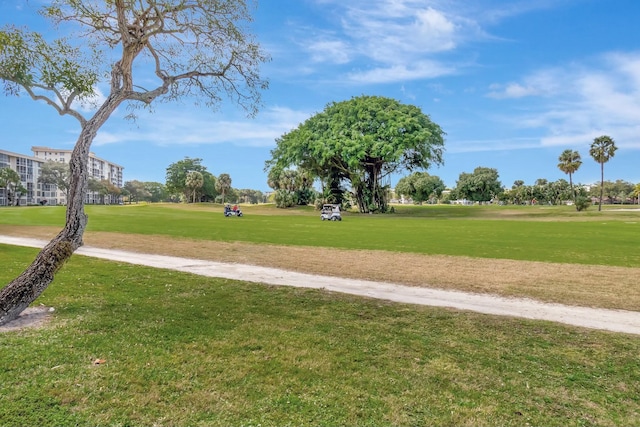 view of community featuring a lawn