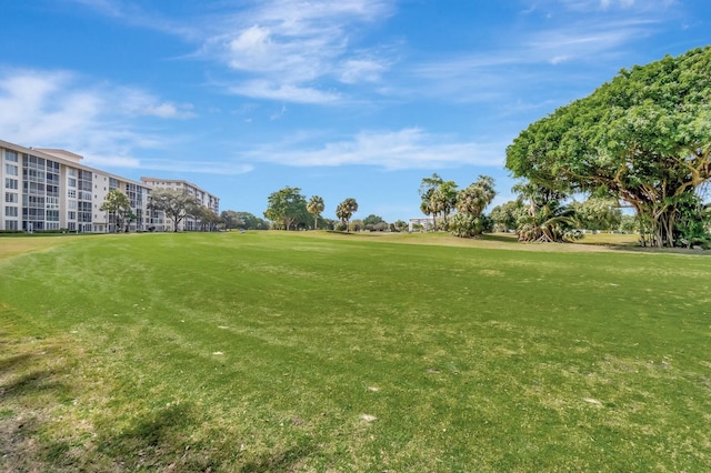 view of community featuring a yard