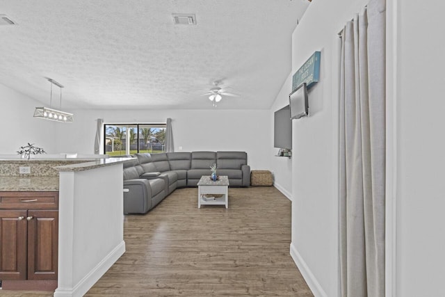 living room with wood-type flooring, ceiling fan, and a textured ceiling