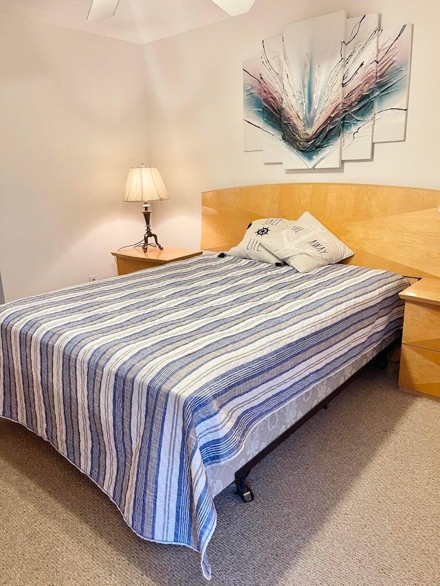 bedroom with carpet floors